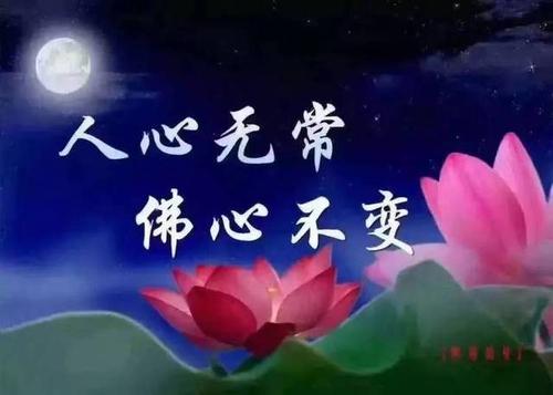 弘扬佛法 传正能量 分享转载 功德无量