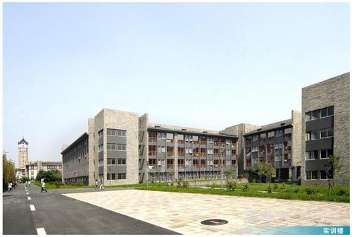 成都东软学院