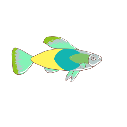 卡通鱼图片大全