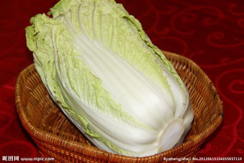 大白菜 