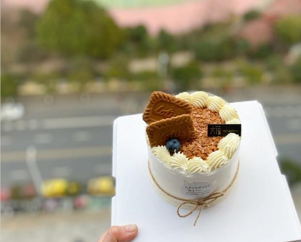 「大福独家」南京同城 海盐焦糖口味蛋糕 ins风 动物奶油生日蛋糕