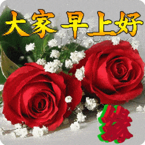 中老年表情包 早上好图片 早晨好祝福语录