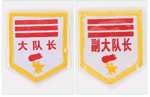 少先队队干标志 大队长 中队长 小队长 大队委 中队委标志