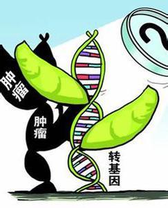 转基因食品的利与弊
