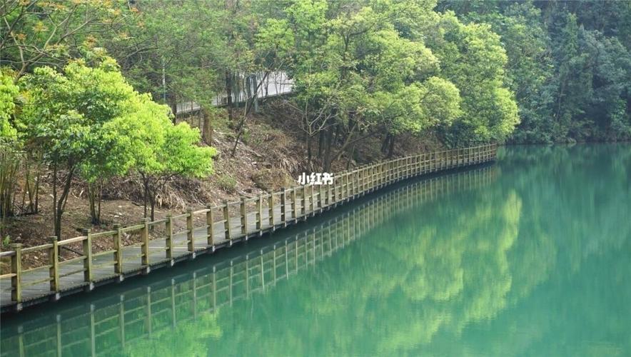 广州可以带狗进的景区,宠物友好景区_景点_宠物_森林