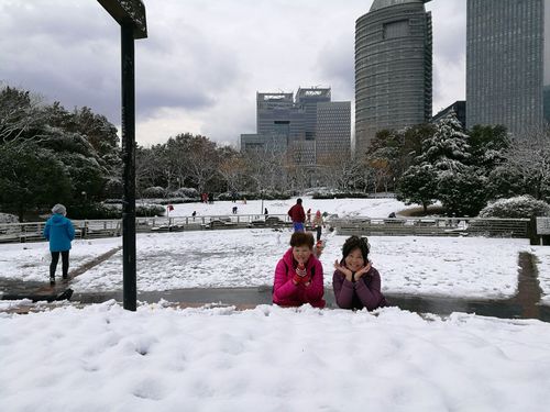 上海十年不遇的大雪,体现出冬天的景色,在上海人的眼中美哉!乐哉!