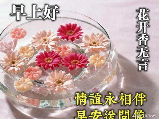清早最新版早上好漂亮表情祝福图片平安祝福早上好问候祝福语
