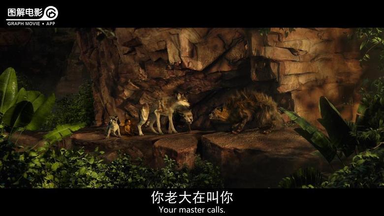 图解电影《森林之子毛克利.