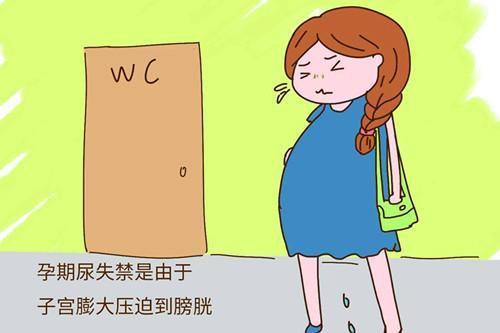 为什么怀孕期间漏尿就这么严重呢?