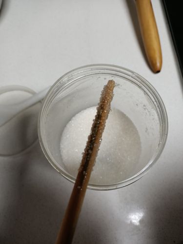 白糖结晶实验-李金璇