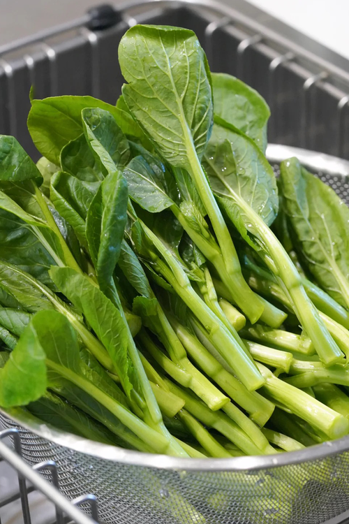 南方人对青菜的执念北方人不懂