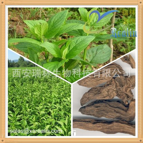 figwort 【中文别名】 川玄参,土参,元参 【提取部位】 为玄参科植物