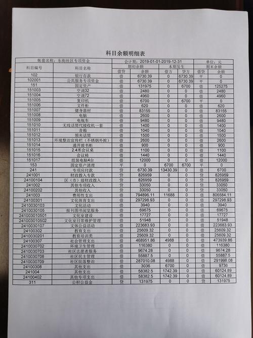 东街社区城乡社区治理专项保障资金科目余额表
