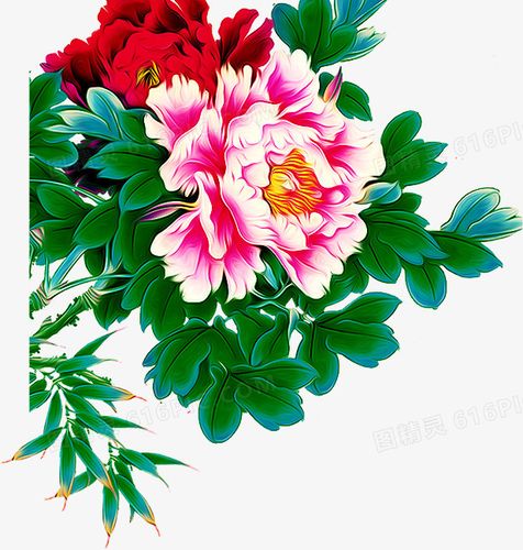牡丹花图片免费下载_png素材_编号vd9im5mk9_图精灵