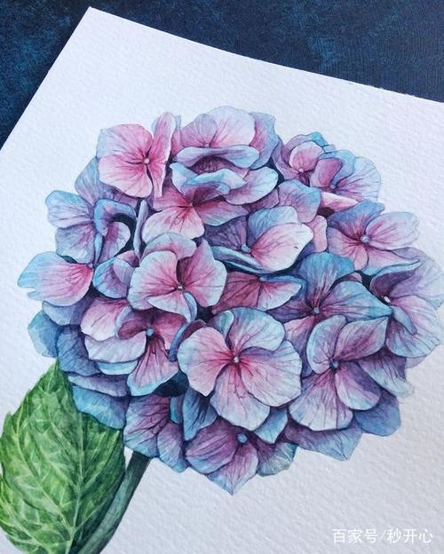 手绘艺术:立体水彩绣球花,你被吸引到了吗?