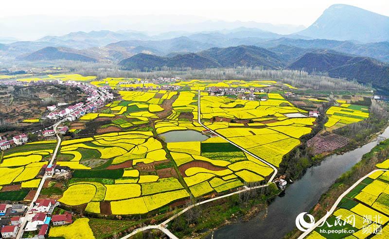 湖北远安:昔日"山旮旯" 今朝"金银窝"