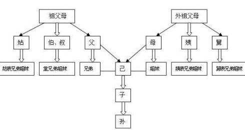 何谓直系血亲和三代以内的旁系血亲