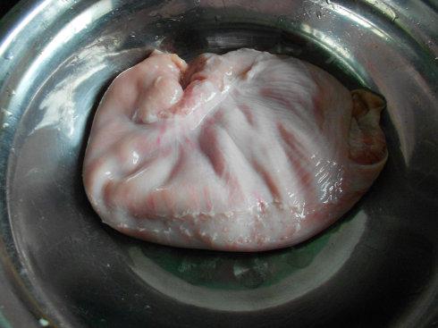 减少肚的营养成分   1,新鲜猪肚先在清水下冲洗一下 3,白色的