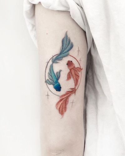 推荐几款小鱼纹身 小清新风格 水彩纹身风格_纹身_水彩_小清新_小清新