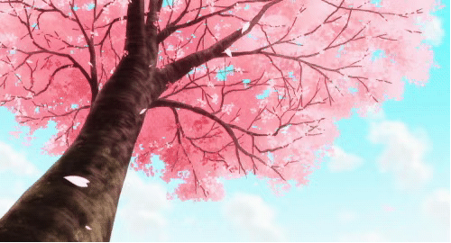 动漫4k风景壁纸分享第六期不进来康康么6102536102动漫壁纸