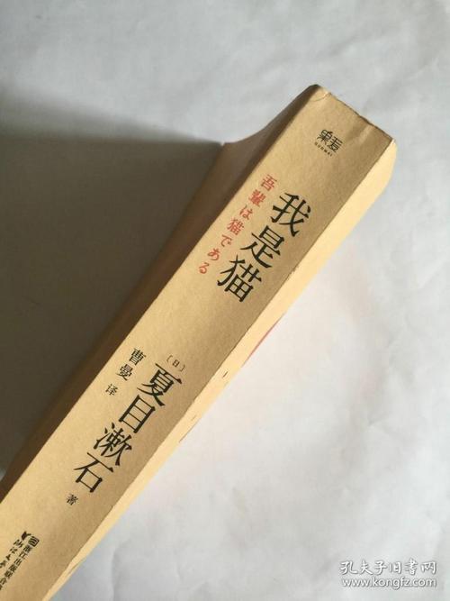 我是猫 