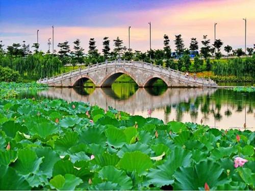 【省内纯玩】天门悬廊玻璃桥 飞来湖湿地公园 黄腾十八瀑 北江小三峡