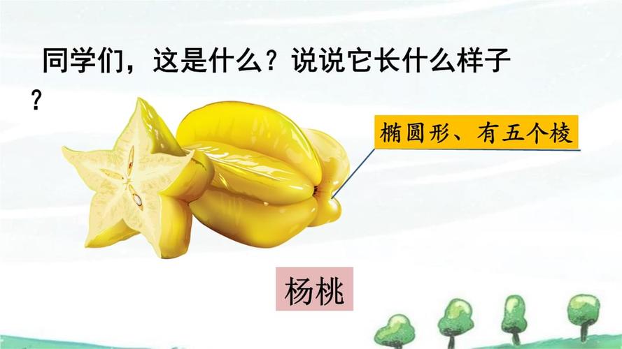说说它长什么样子?;    杨桃:常绿或半常绿乔木.