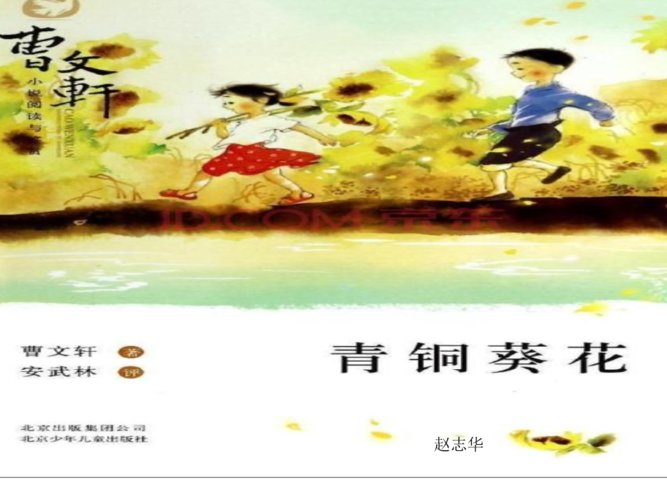 五年级组读书汇报课青铜葵花ppt课件.ppt 39页