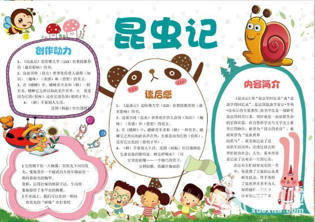 四年级昆虫记手抄报素材