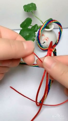 如何编一个活结