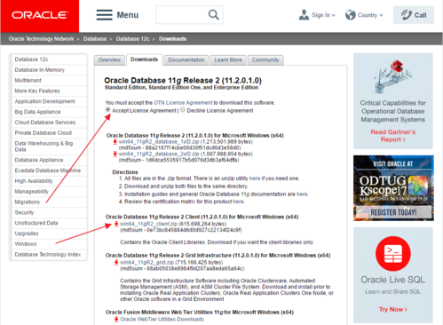 oracledatabase11grelease2下载安装与应用