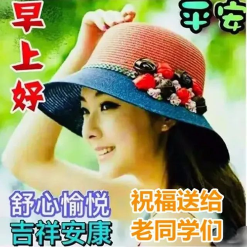 早上好朋友问候老同学的早上好表情图片老同学早安出入平安四季平安
