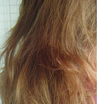 【龙雷黄马】夏季~与姐妹同胞分享下解决头发干枯的秘诀