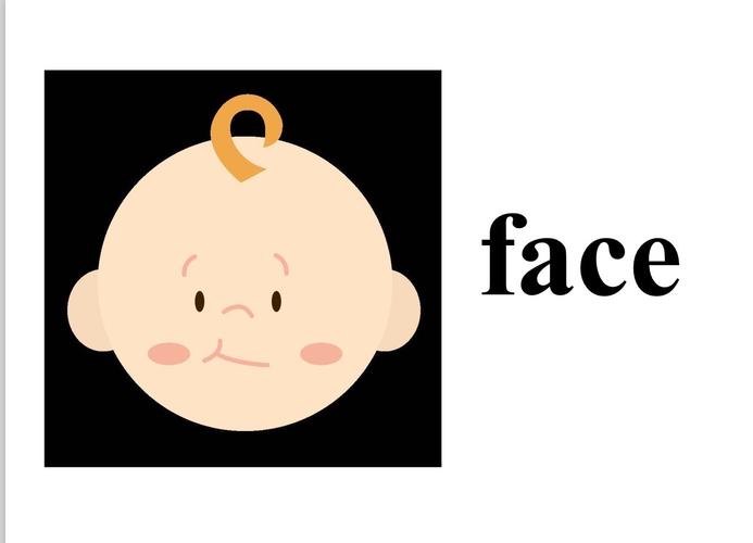 英语单词——《脸:face》