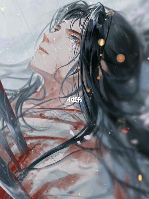 【天官赐福26】百剑穿心虐哭了_天官赐福谢怜_影视