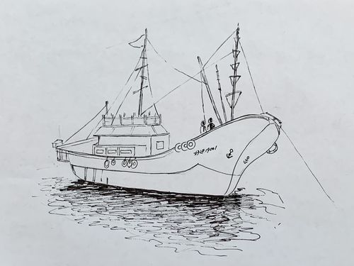 第十三课 海港渔船 (11/5/2020   252)