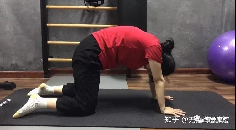 像猫伸懒腰一样拱起背部,拉伸背部肌肉.