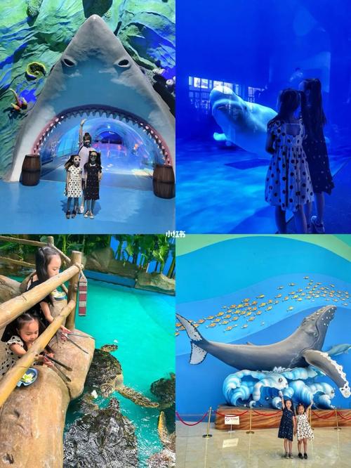 亲子旅行|永泰欧乐堡两天一夜超强攻略_酒店_树屋_森林_海豚_餐厅