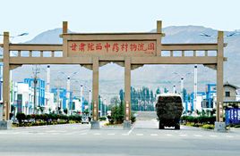 陇西中药材市场