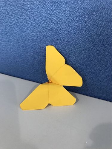 【特别假期·乐宅生趣】～与你创想 | 《美丽的小蝴蝶》