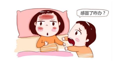 孕期感冒能不能吃药怎么预防终于说清楚了