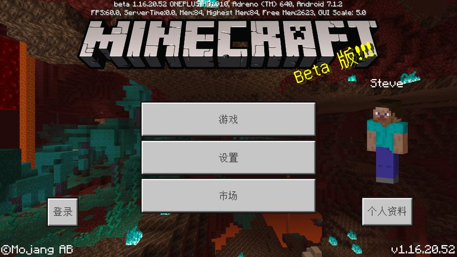 我的世界国际版