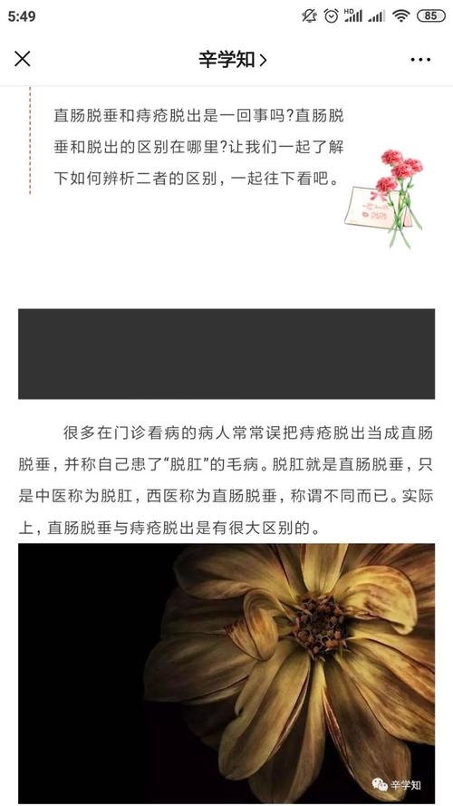 带您认识脱肛上内痔脱出与直肠脱垂的区别