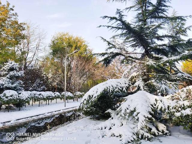 立冬告别秋天北京下雪了