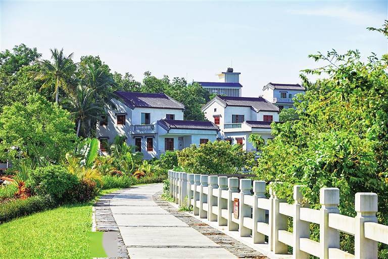 第八届海南乡村旅游文化节今日开启