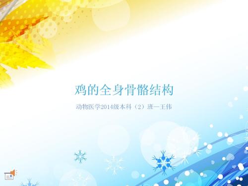 [优质文档]动物医学2014级本科(2)班鸡全身骨骼结构.ppt
