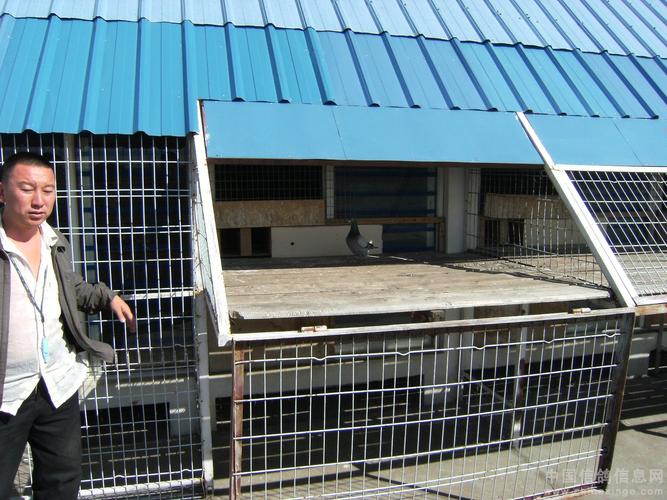 吉林油田信鸽协会2009年秋200公里成绩鸽验棚概况