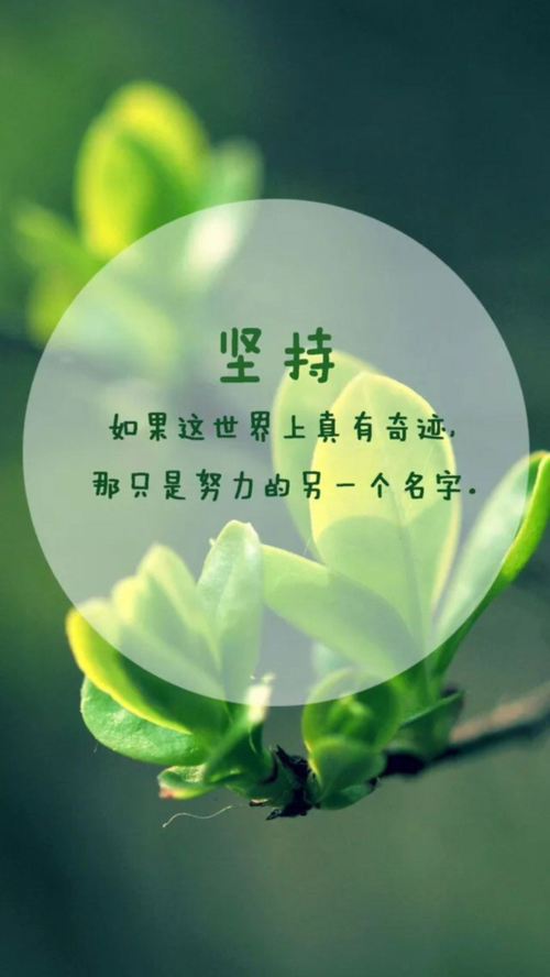 花卉意境励志文字唯美桌面壁纸