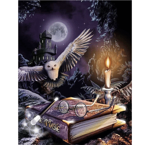 钻石画5d哈利波特猫头鹰十字绣diy俄罗斯爆款速卖通ebay厂家直销