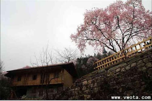 四川江油吴家后山自驾旅游攻略,不该错过的美景,鲜花